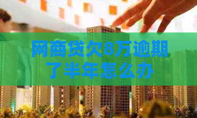 网贷欠8万逾期了半年怎么办
