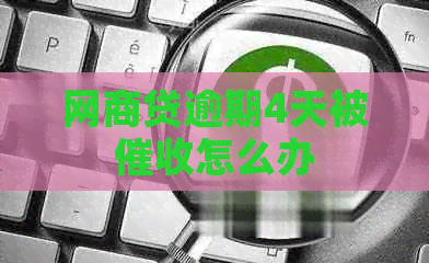 网贷逾期4天被怎么办