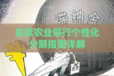 东莞农业银行个性化分期指南详解