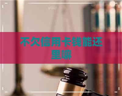 不欠信用卡钱能还里嘛