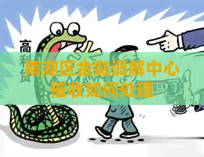 南湖区金融调解中心如何处理