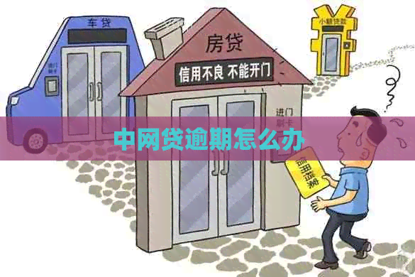 中网贷逾期怎么办