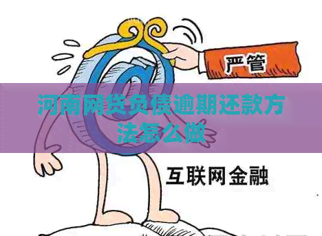 河南网贷负债逾期还款方法怎么做