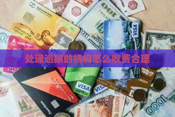 处理逾期的机构怎么收费合理