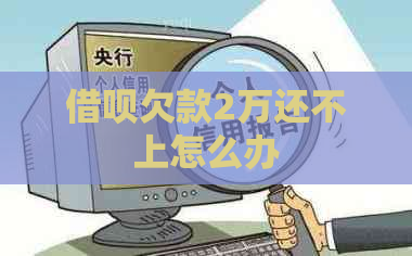 网贷欠款2万还不上怎么办
