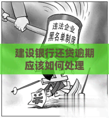 建设银行还贷逾期应该如何处理