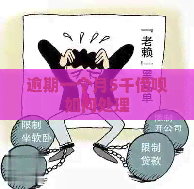 逾期一个月5千网贷如何处理