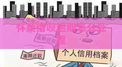 怀柔网贷逾期怎么处理