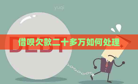 网贷欠款二十多万如何处理