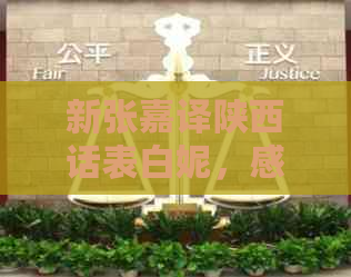新张嘉译陕西话表白妮，感动落泪，求婚我要让他双膝跪地！