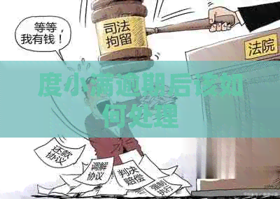 度小满逾期后该如何处理