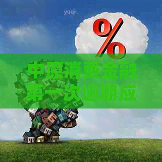 中原消费金融之一次逾期应该如何处理