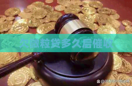 欠微粒贷多久后