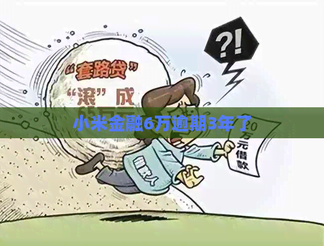 小米金融6万逾期3年了