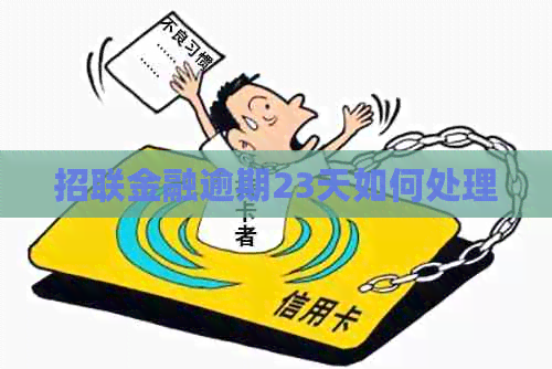 招联金融逾期23天如何处理
