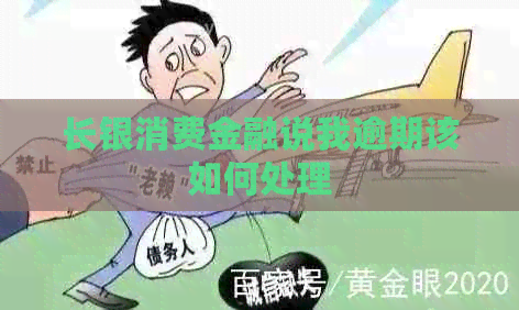 长银消费金融说我逾期该如何处理