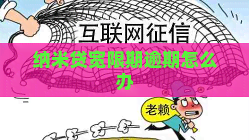 纳米贷宽限期逾期怎么办