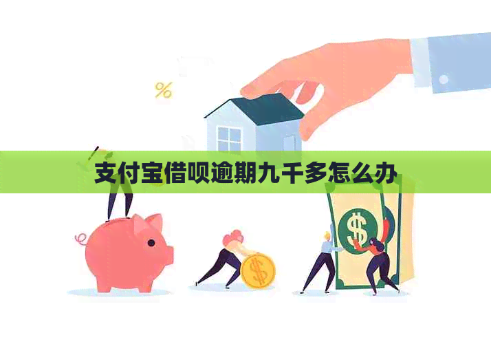 支付宝网贷逾期九千多怎么办