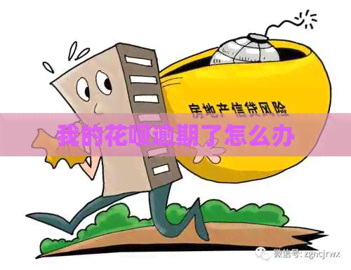 我的信用卡逾期了怎么办