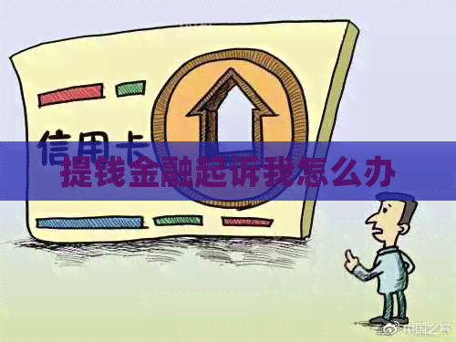 提钱金融起诉我怎么办
