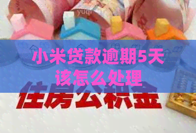 小米贷款逾期5天该怎么处理