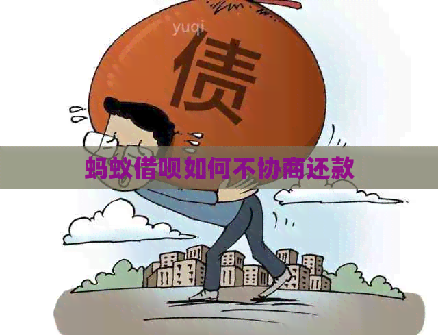 蚂蚁网贷如何不协商还款