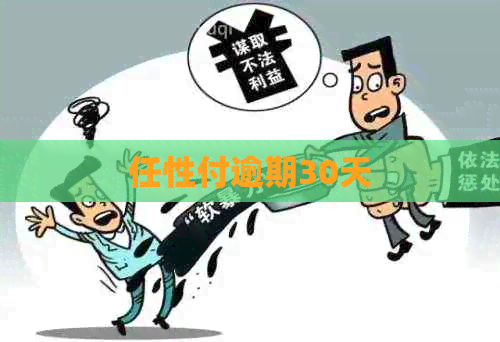 任性付逾期30天 任性付逾期30天