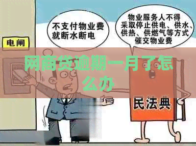 网贷逾期一月了怎么办