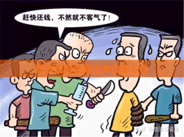 招联金融逾期还本金怎么办