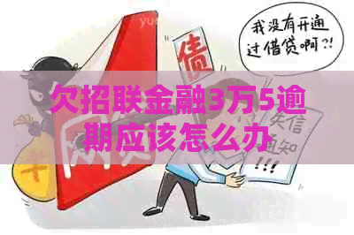 欠招联金融3万5逾期应该怎么办