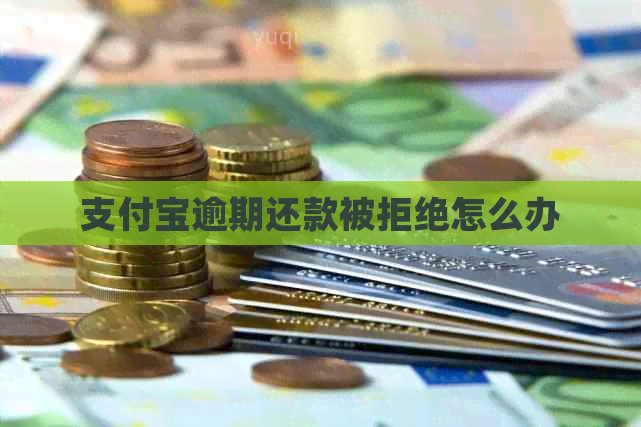 支付宝逾期还款被拒绝怎么办