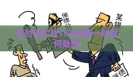 支付宝欠款八千逾期一年如何处理