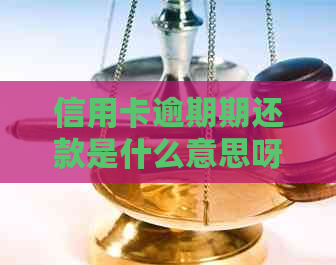 信用卡逾期期还款是什么意思呀