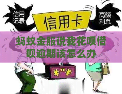蚂蚁金服说我信用卡网贷逾期该怎么办