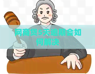 网贷5天逾期会如何解决