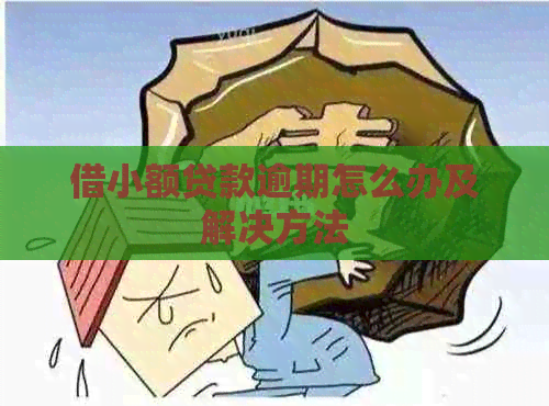 借小额贷款逾期怎么办及解决方法