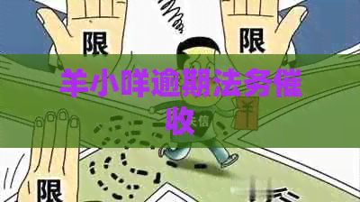 羊小咩逾期法务