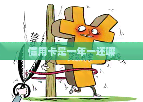 信用卡是一年一还嘛