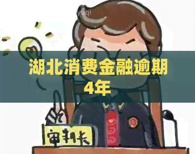 湖北消费金融逾期4年 湖北消费金融逾期4年