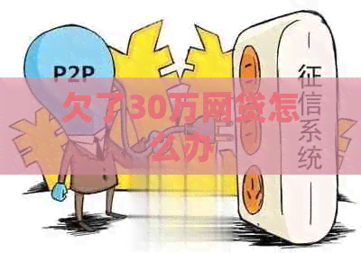欠了30万网贷怎么办