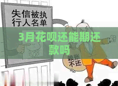 3月信用卡还能期还款吗
