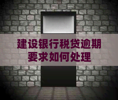 建设银行税贷逾期要求如何处理