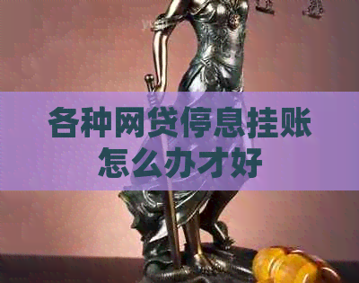 各种网贷停息挂账怎么办才好
