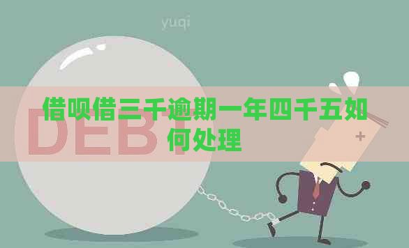 网贷借三千逾期一年四千五如何处理