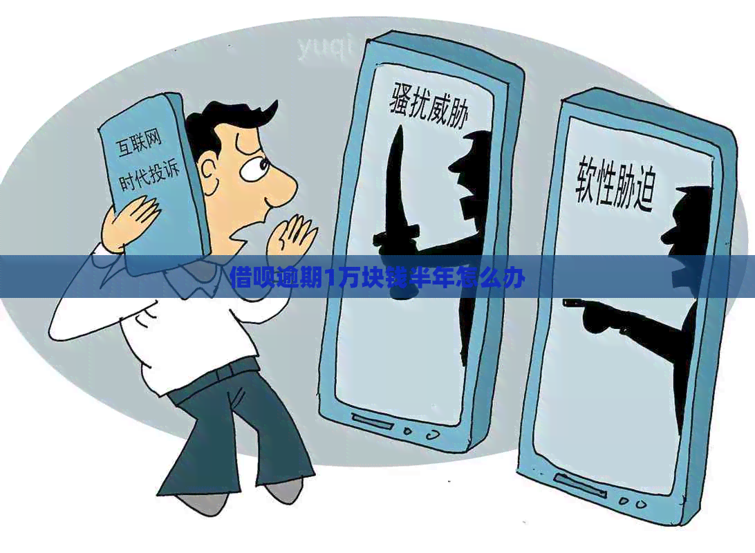 网贷逾期1万块钱半年怎么办