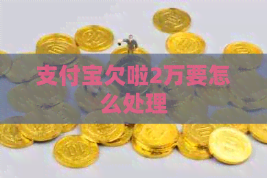 支付宝欠啦2万要怎么处理