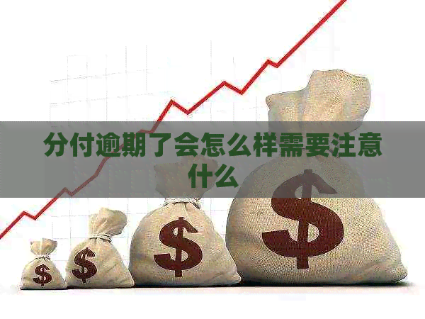 分付逾期了会怎么样需要注意什么
