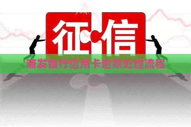 浦发银行信用卡逾期处理流程