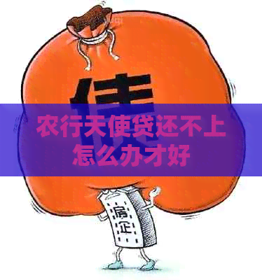 农行天使贷还不上怎么办才好
