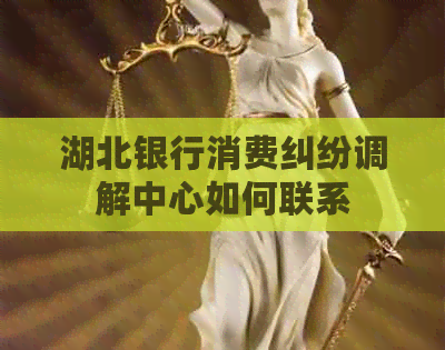 湖北银行消费纠纷调解中心如何联系